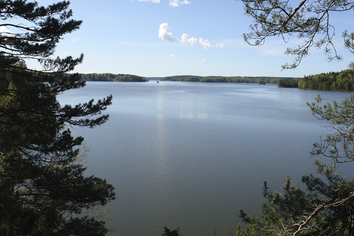 Vesistömaisema, jossa etualalla havupuun oksia.