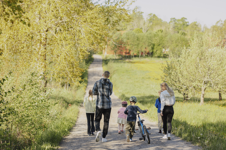 Perhe kävelee poispäin kamerasta pitkää suoraa tietä pitkin. Kesäinen aamu, kirkasta.