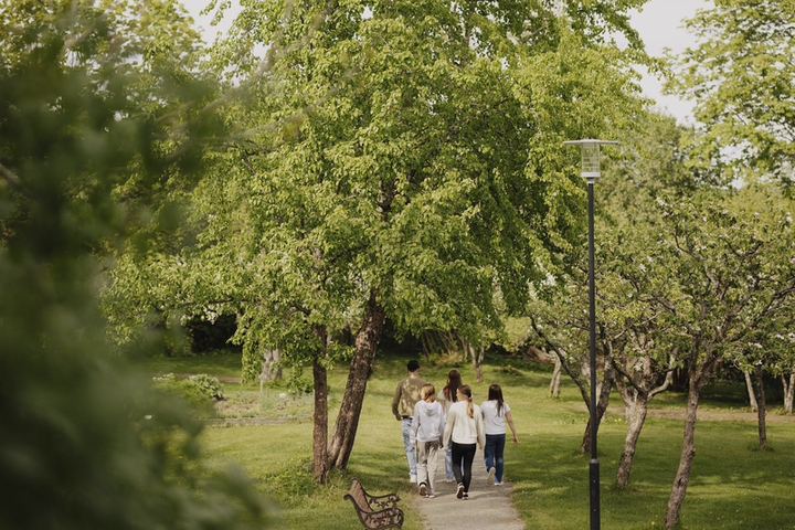 Ryhmä nuoria kävelemässä poispäin kamerasta vehreässä kesämaisemassa.