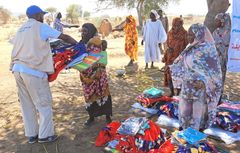 Lapset ja perheet elävät äärimmäisen vaikeissa oloissa Sudanin Darfurissa. Noin 800 000 kotoaan paennutta ihmistä on asettunut Tawilaan, jossa on pakolaisten suuren määrän vuoksi pulaa kaikesta: vedestä, ruoasta, sanitaatiosta ja turvallisuudesta. Plan International on jakanut yli 819 tonnia henkeä pelastavaa apua lokakuun 2025 jälkeen ja tavoittanut yli 160 000 ihmistä. Avun tarve kuitenkin kasvaa päivä päivältä samalla kun humanitaarinen rahoitus Sudanin kriisiä varten vähenee.