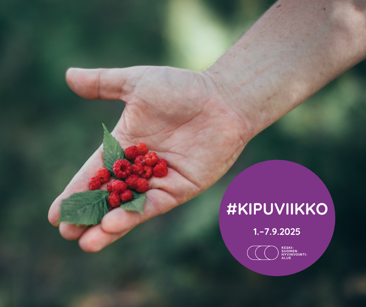 Ojennetu käsi pitää kämmenellään vadelmia ja lehtiä. Kuvassa on violetti ympyrä, jossa lukee "#KIPUVIIKKO 1.-7.9.2025".