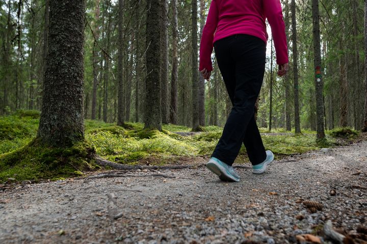 Henkilö kävelee metsäpolulla.