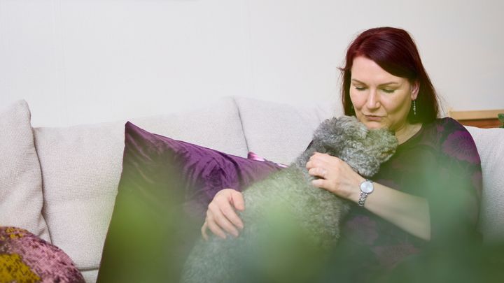 Nainen istuu sohvalla ja silittää sylissään olevaa harmaata villakoiraa.