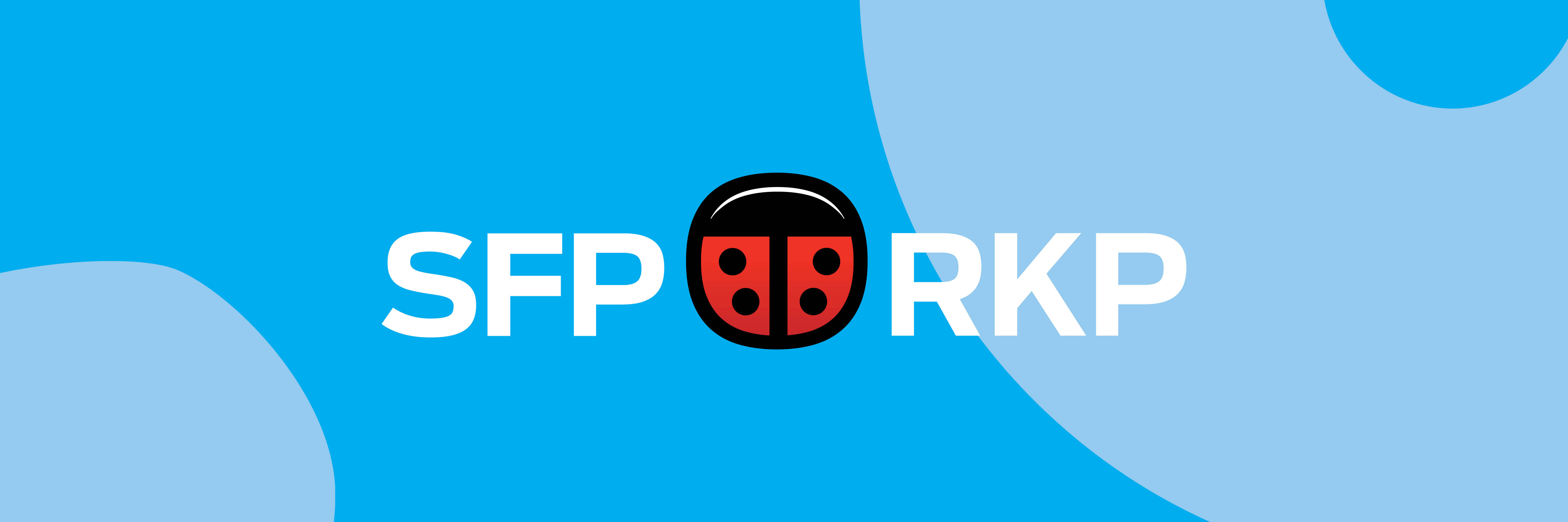 RKP nimesi ensimmäiset ehdokkaansa Varsinais-Suomessa vuoden 2027 vaaleihin