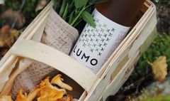 Ruokasuosituksia LUMO White Dry -viinin kanssa ovat kasvisgratiinit, lämpimät sieni- ja äyriäisruoat sekä paistetut/grillatut kalat.