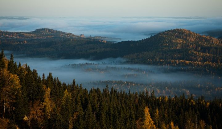 Vaarojen Maratonin pidemmät reitit mukailevat Herajärven kierros -retkeilyreittiä ja kulkevat Herajärven ympäri.