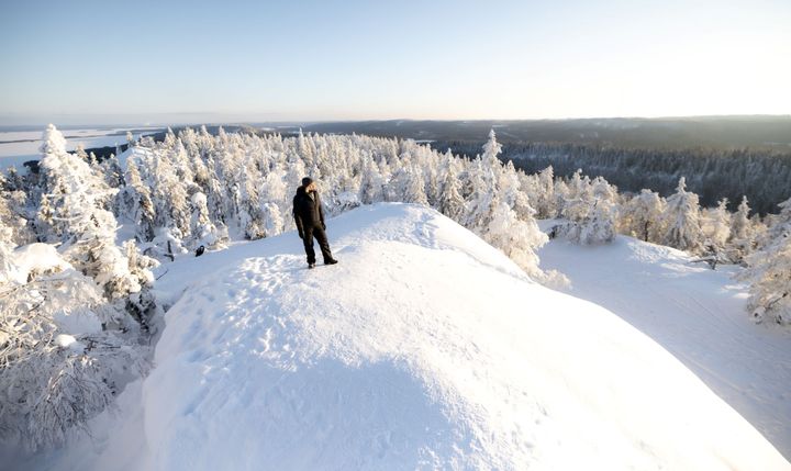 Pohjois-Karjalan Kolilta avautuu yksi Suomen kansallismaisemista. Koli Horizons -tapahtuma kerää matkailutoimijoita Kolille 4.-5. helmikuuta.