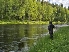 Harjuksesta ja järvitaimenesta tunnetun Kuusinkijoen vedenlaatu on pääosin yhä erinomainen.