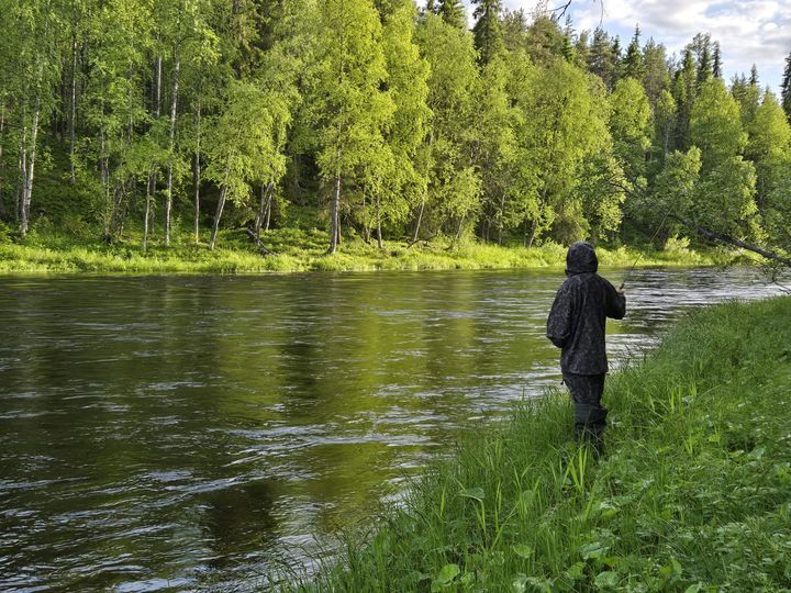 Harjuksesta ja järvitaimenesta tunnetun Kuusinkijoen vedenlaatu on pääosin yhä erinomainen.