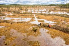 Suon ennallistamisessa tukitaan ojia ja poistetaan puustoa suon vedenpinnan kohottamiseksi. Kuvassa Hiilipörssin ennallistama Piitsonsuo Ilomantsissa.