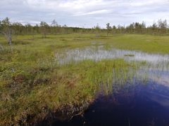 Soiden ennallistamisen keskeisimpiä tavoitteita on vähentää ojitusten aiheuttamia vesistöpäästöjä. Kuvassa Hiilipörssin ennallistama Joutenneva-Tummunneva Lestijärvellä.