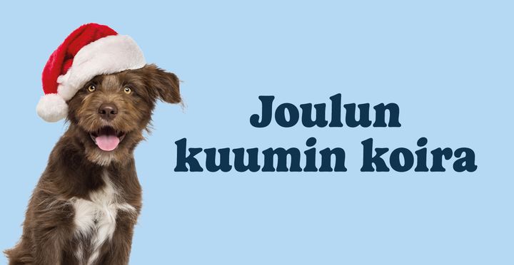 R-kioskilla etsinnässä Joulun kuumin koira