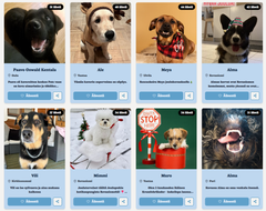 R-kioskin Joulun kuumin koira -kampanjasivusto