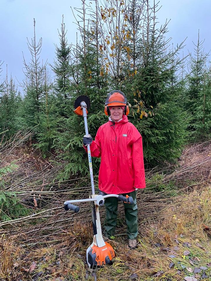 Työyhteisövalmentaja Jaana Piippo on hankkeen tiimoilta perehtynyt yhteisöohjautuvuuteen. Lisäksi hän työskentelee yhteismetsän toimitsijana. Myös taimikon hoito on Piipolle sydämen asia.