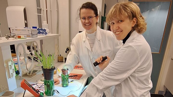 Kaksi henkilöä laboratoriossa valkotakit päällä. Pöydällä heidän edessään on kaksi vihreää ainetta sisältävää lasipurkkia, joihin menee johdot.