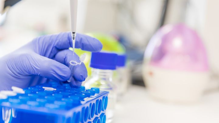 Pipetöivät kädet laboratoriossa.