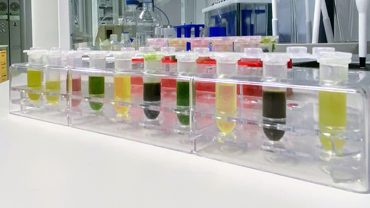 Laboratorion pöydällä telineessä on rivi näyteputkia, joiden sisällä on eri värisiä kasviuutteita.