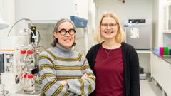 Kati Hanhineva ja Kaisa Linderborg laboratoriossa.