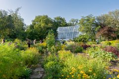 kuva kasvitieteellisen puutarhan ulkopuutarhasta kesällä aurinkoisella säällä, taustalla näkyy lasinen kasvihuone