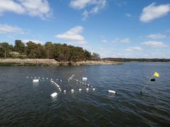 Kesäinen kuva saaristomereltä, vedessä poijuilla rajattu alue; taustalla kallioinen rantaviiva, metsää ja pilvinen taivas.