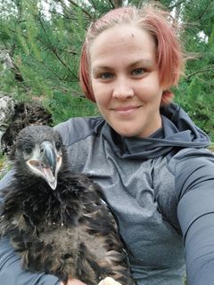 Merikotkan poikanen tutkijan kainalossa ja tutkija ottaa itsestään ja kotkanpoikasesta selfietä hymyillen kameraan