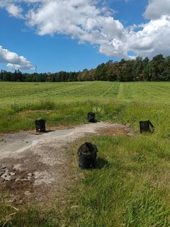 Neljä mustaa kantohäkkiä pellolla kesällä.