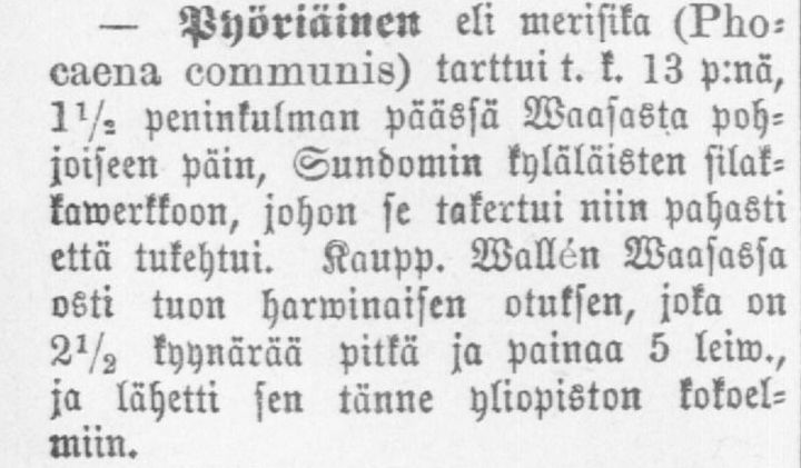 Uusi Suometar -sanomalehdessä mainittiin pyöriäishavainto Pohjanmaalta Vaasan läheltä. Havainto tehtiin 13. toukokuuta 1884.