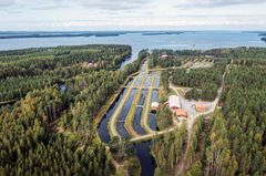Uusi Paras-laitos rakennetaan Nilakkalohi Oy:n perinteikkäälle laitosalueelle Tervoon.