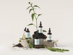 Frantsilan Herbalist kasviuutteet