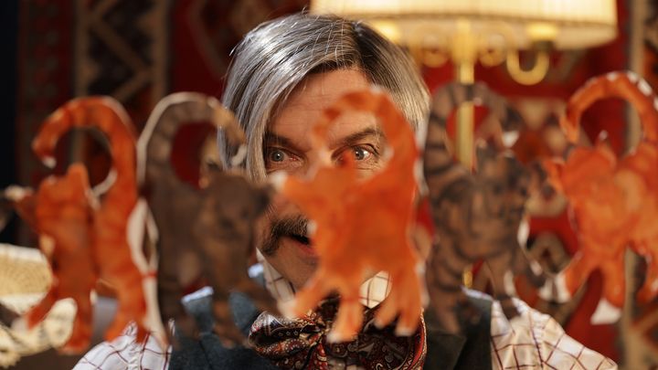 Henkilö katsoo etualalla olevia sumeita paperista leikattuja kissoja , taustalla on värikäs seinävaate.