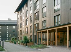 Puupalkinnon voittaja Kuokkalan Kalon, Jyväskylä