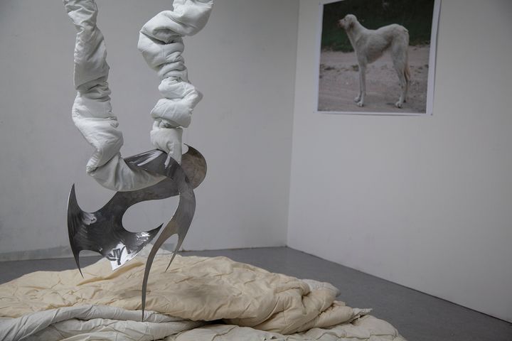 Sculpture made of fabric and metal resembling a suspended figure, with a dog photo on the wall.