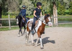 Kaksi poniratsukkoa ratsastuskentällä. Etummainen poni on ruskeankirjava ja taaimmainen musta.