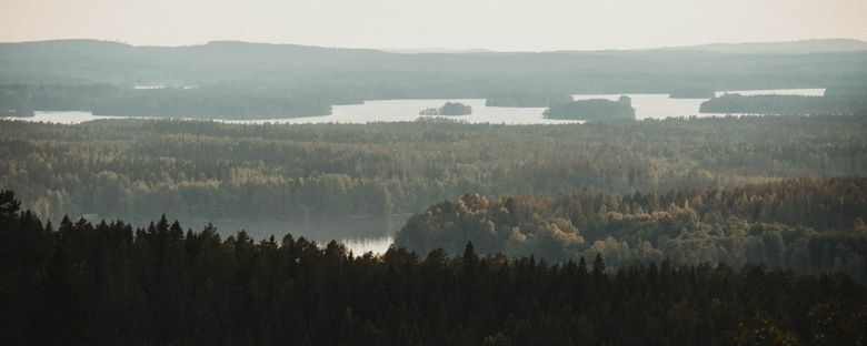 Taiga Concept on lähtöisin pohjoisesta luonnosta