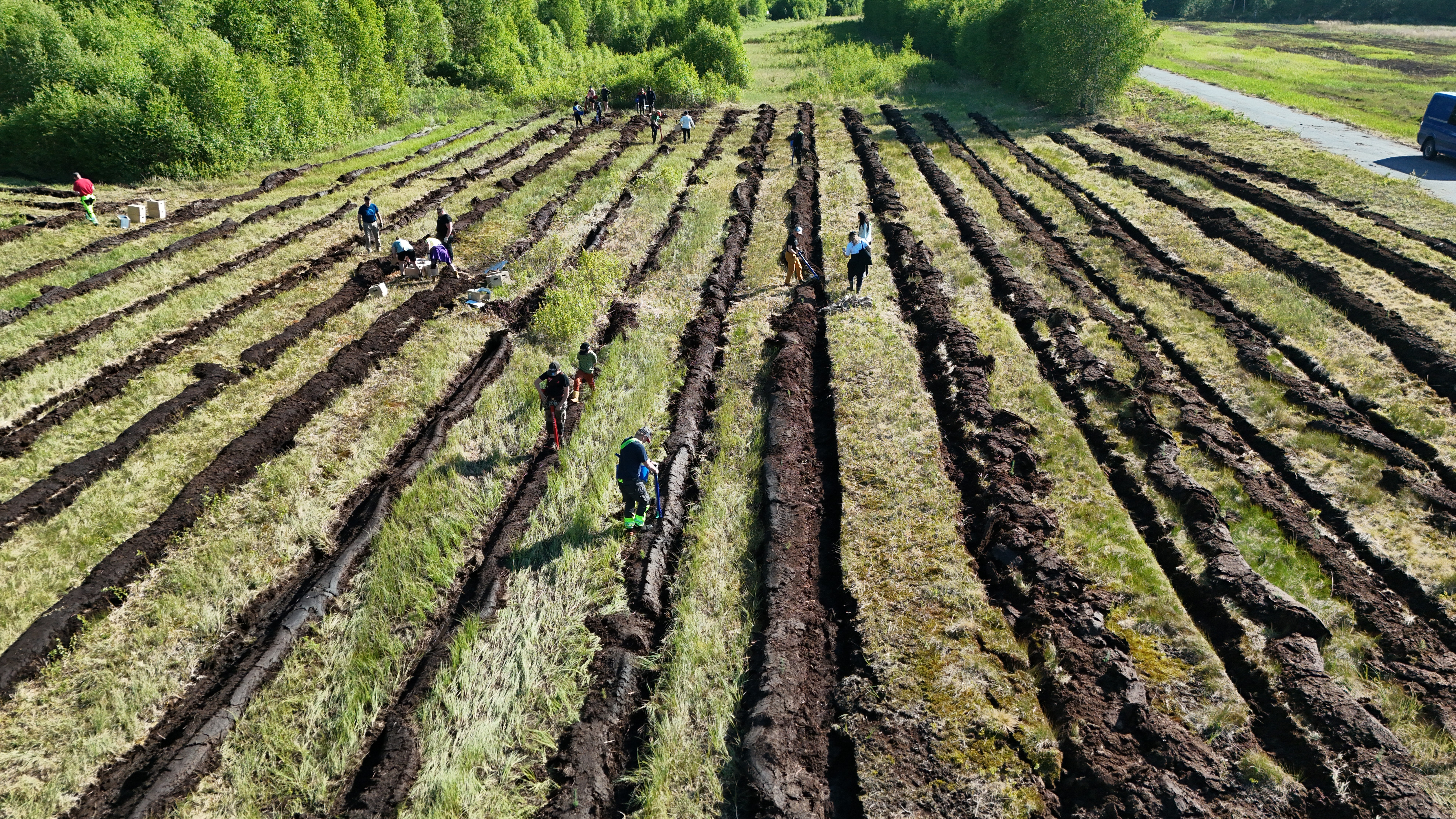 Carboreal ja Rautavaara kehittävät mallia kuntien väliseen hiilinielukauppaan
