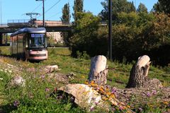 KAPA, Raitiolinja 13 Kalasatamasta Pasilaan. Kuva: Kaupunkiliikenne