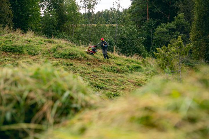 Perinnebiotoopin niittotyö.