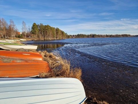 Rannalla käännettyjä veneitä, taustalla Palokkajärvi ja metsäistä rantaa.