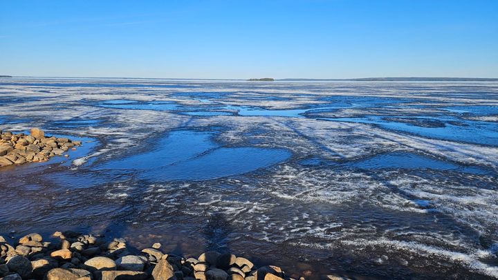 Lappajärvi ligger isen ännu kvar även om sjön till största delen redan är isfri.