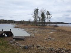 Maisema Saimaalta: järvimaisema, pilvinen taivas, rantakiviä ja puita.