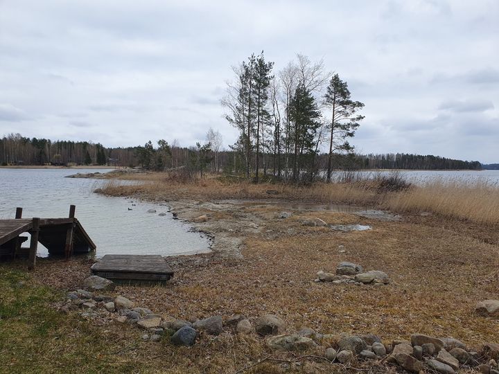 Maisema Saimaalta: järvimaisema, pilvinen taivas, rantakiviä ja puita.