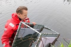 Petri Karppinen vedessä punaisessa puvussa vapauttamassa lohen vaelluspoikasia Lapuanjokeen.
