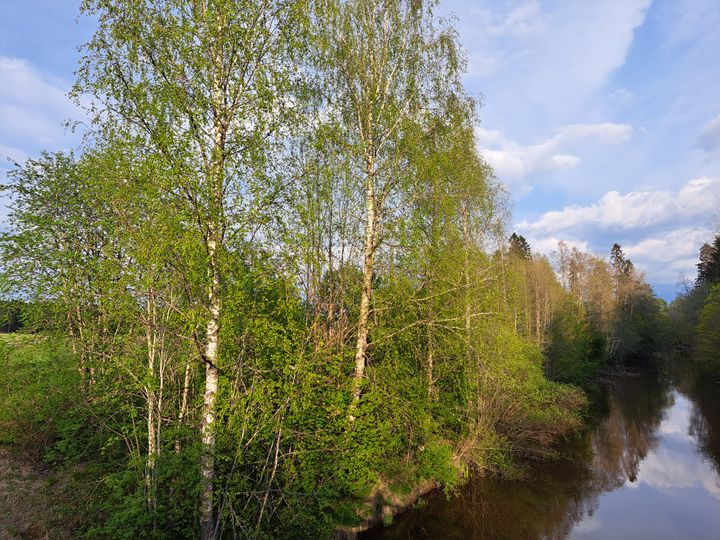 Kuvituskuva