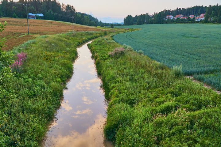 Oja peltojen välissä kesäisessä maalaismaisemassa. Taustalla taloja.