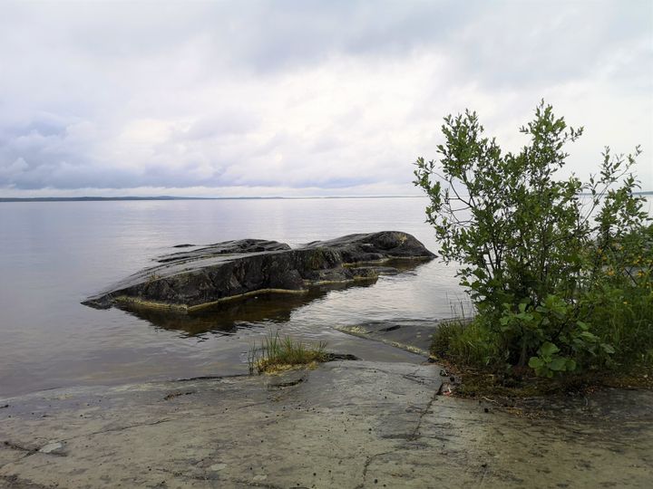 Kuvassa merellinen maisema rannalta päin. Etualalla kalliota ja pusikkoa.