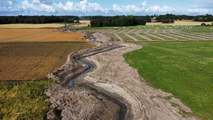 Ilmakuva pellosta, jossa on kapea, mutkitteleva vesiuoma keskellä. Pellot ympäröivät uomaa, ja taustalla näkyy metsää ja pilvinen taivas.