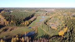 Ilmakuva metsäisestä maisemasta, jossa näkyy vesiuoma ja peltoja.