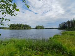 Kesäinen maisema järven rannalta.