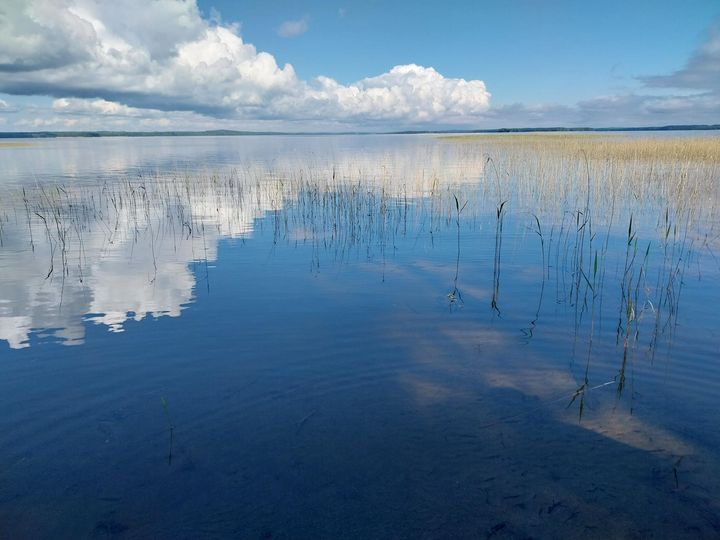 Tyyni vedenpinta puolipilvisellä säällä.