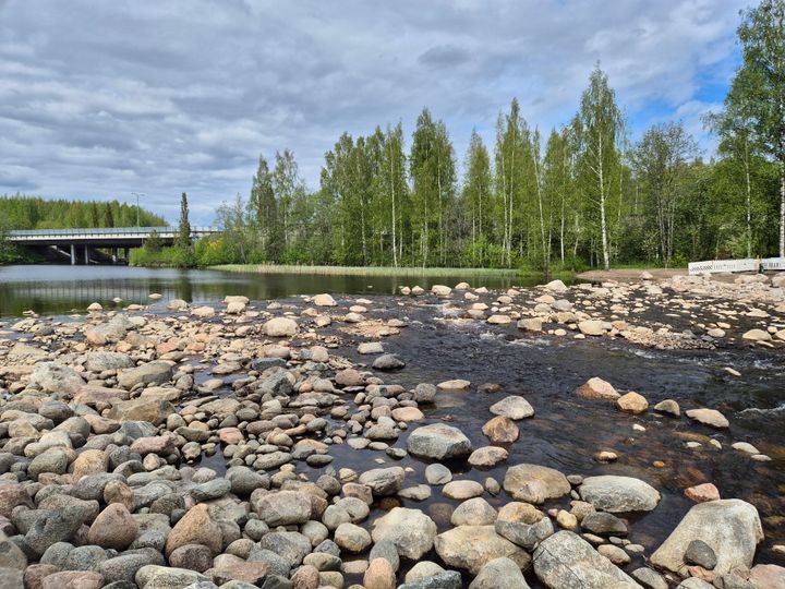 Vuolas joki jossa on runsaasti kiviä, taustalla silta ja vehreää metsää.